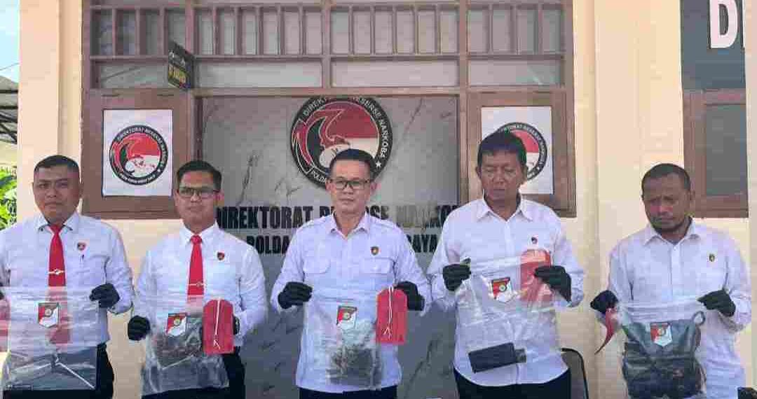 Ditresnarkoba Polda Papua Barat Daya Bekuk dan Bongkar Dua Jaringan Narkoba, 8 Kg Ganja Disita di Sorong